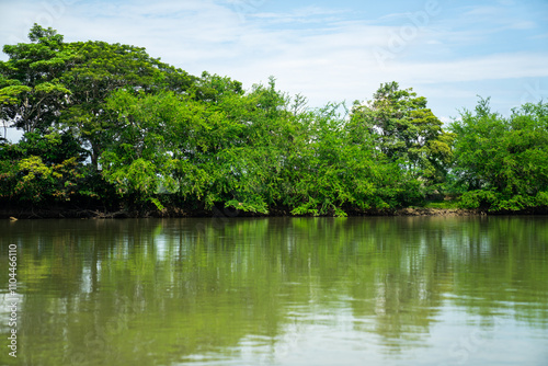 river in the forest tropical