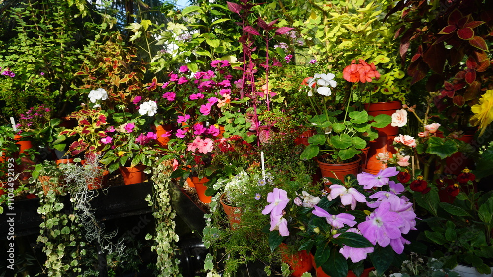 Fototapeta premium Flowers, art and museum