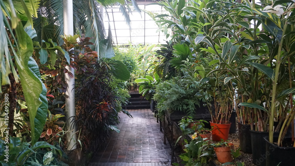 botanic garden and flowers plus architecture botanic garden and flowers plus architecture