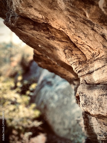 Layered rock ledge with blurred background, Red River Gorge photo