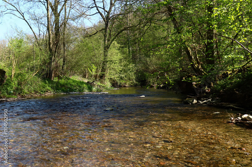 Clear river with rocks on a walking path near Burg Pyrmont on a spring day in Germany. photo