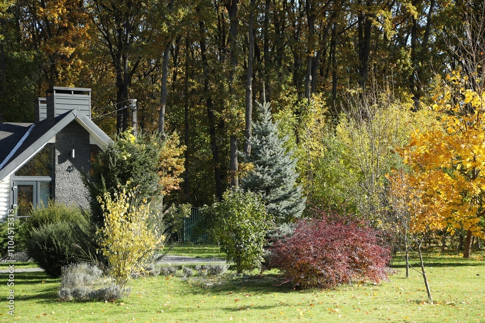 Hotel building and different plants in autumnal park Hotel building and different plants in autumnal park