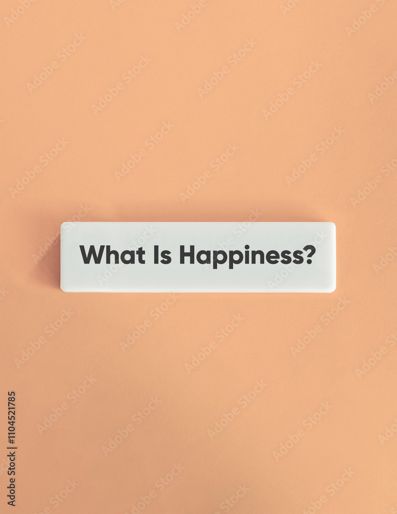 What is Happiness? What is Happiness?