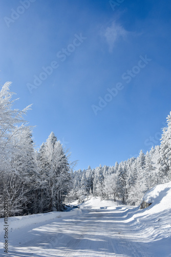 winter landscape with snow at uludag, bursa photo