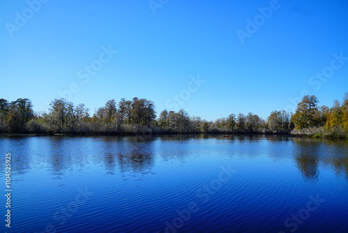 Winter Landscape of Hillsborough river at Lettuce lake park	
