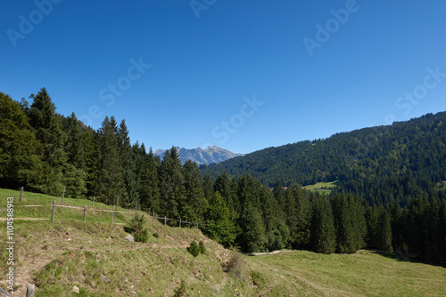 Vibrant Alpine Landscape with Azure Sky, Lush Evergreen Forests, and Serene Pastures, Summer Mountain Scene, Pine Trees, Blue Sky, Green Meadows, Nature Harmony, Eco-Friendly Alpine Haven, Mountain 
