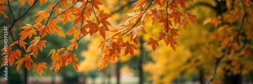 Blurred background of autumn park with vibrant foliage and trees, serene, fall