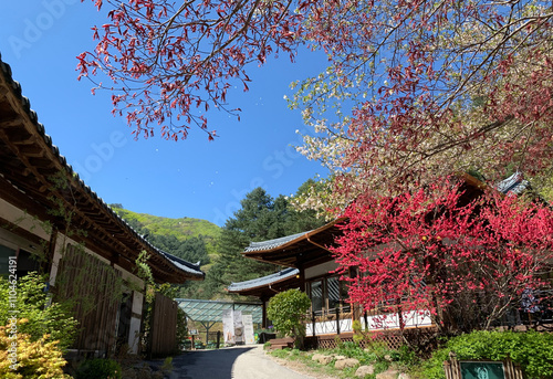 Korean Architecture Harmonizing with Nature