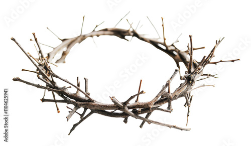 Natural twig crown crafted from twigs and branches, cut out - stock png. photo