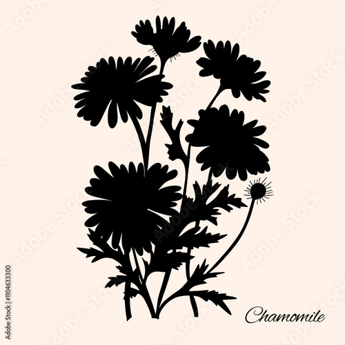 Chamomile shadow botanic natural card template