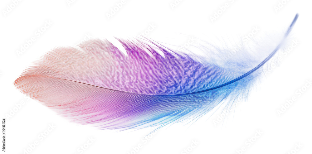 Colorful feather with a gradient in soft tones, cut out - stock png. Colorful feather with a gradient in soft tones, cut out - stock png.