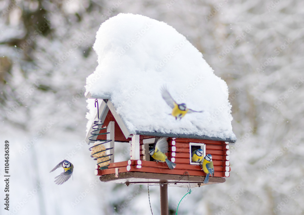 Φωτογραφία A flock of titmice feeds in a snowy birdhouse with a feeder in winter landscape