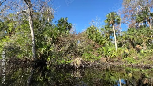 Various angles and shots from a moving boat along the Wekiva River in Longwood, Florida (Seminole County)