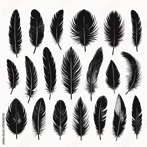 Set of bird feather black silhouettes. Plumelet collection. Vector of black feather, isolated on white background  .