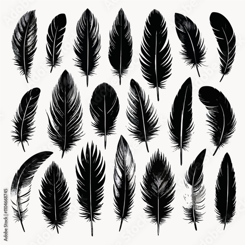 Set of bird feather black silhouettes. Plumelet collection. Vector of black feather, isolated on white background,