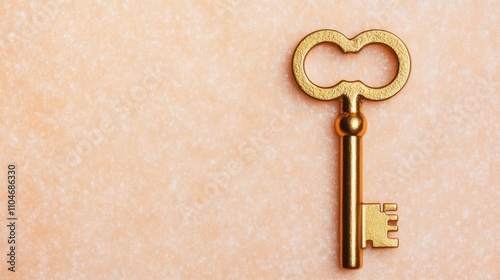 Elegant Bronze Key on Soft Blurred Background