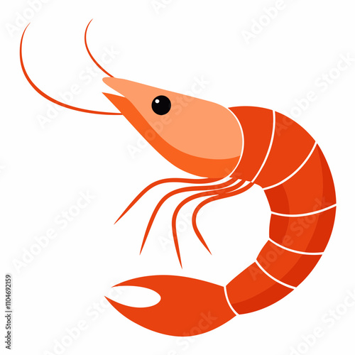 Shrimp Vector illustration  