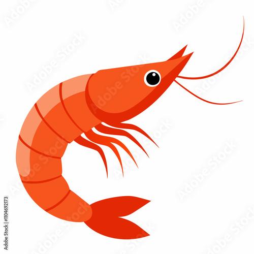 Shrimp Vector illustration  