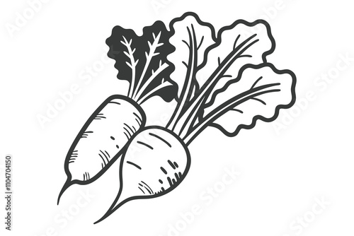 line art of radish  white background