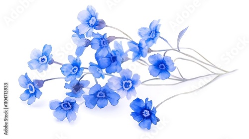 Watercolor Blue Flowers  Forget Me Nots Bouquet  Floral Illustration