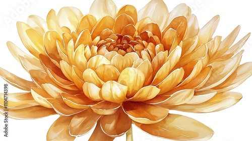 Golden Chrysanthemum Watercolor Flower