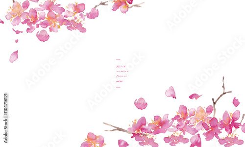水彩画。水彩タッチの桜のベクター背景。桜の和風背景。梅の花の手書きベクターイラスト。高級感のある和風素材。Watercolor painting. Cherry blossoms vector background with watercolor touch. Cherry blossoms Japanese style background. Hand drawn vector illustra