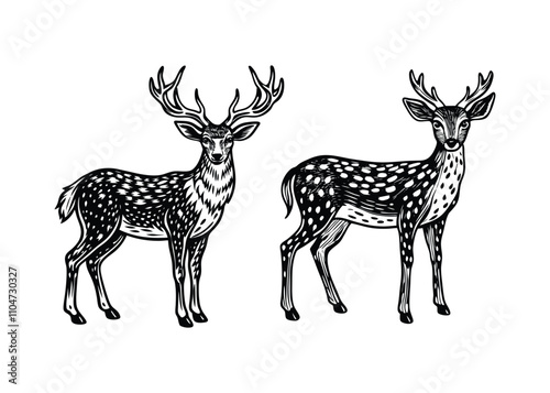 Deer silhouettes black vector 