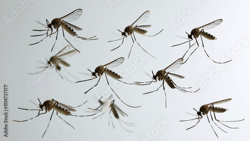 AI generative. Colony of mosquito fly on the air with white background. 2