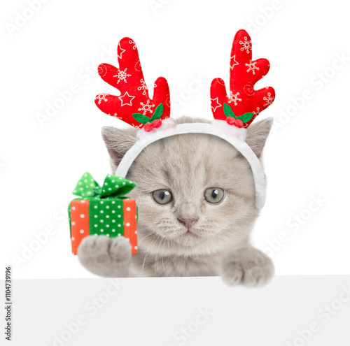 Cute tiny kitten dressed like santa claus reindeer  Rudolf holds gift box and looks blank white board. isolated on white background photo