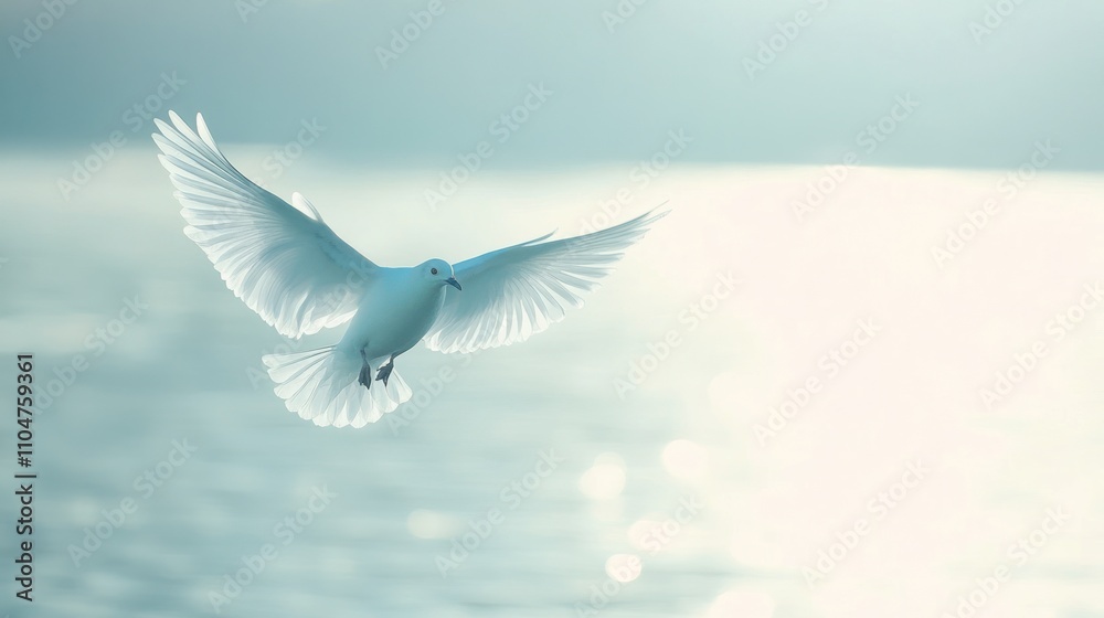 Fototapeta premium White dove in flight over calm water, wings outstretched, sunlight.