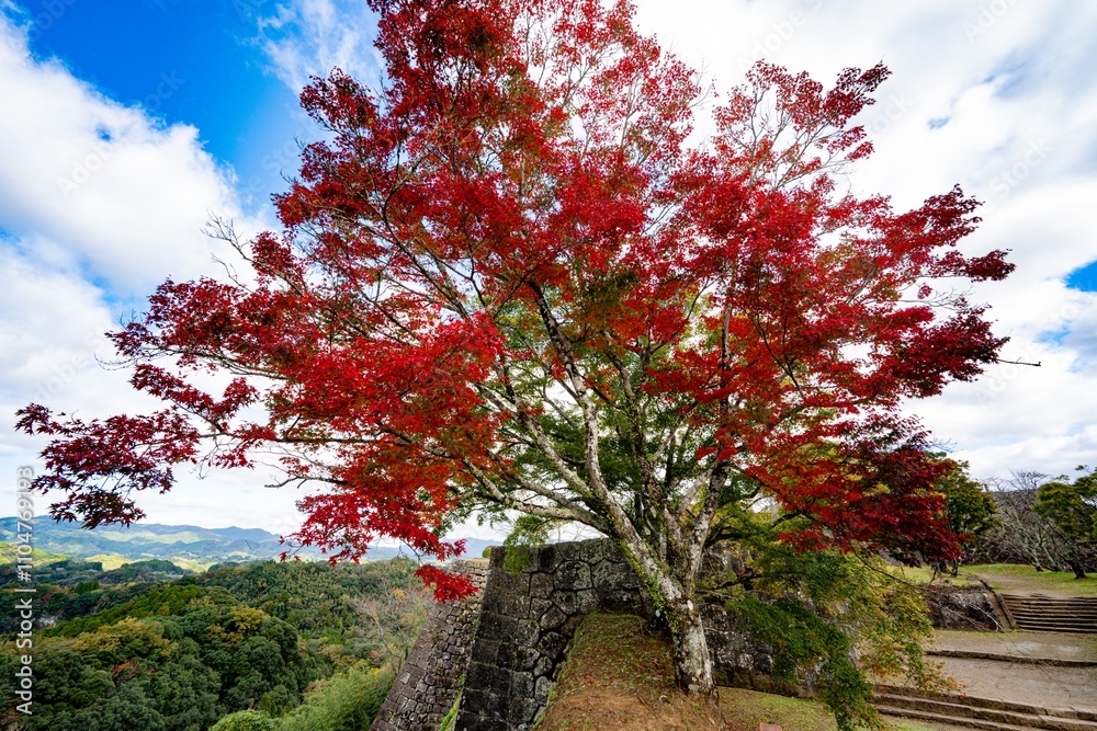 岡城の紅葉
岡城の紅葉
