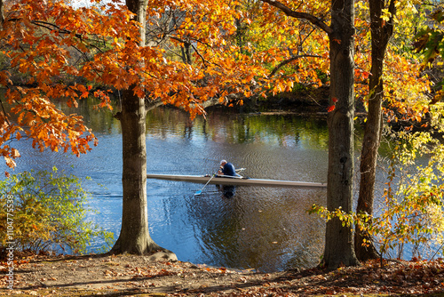 Rower gliding through calm waters of Charles River surrounded by colorful autumn trees in Watertown, Massachusetts, USA
 photo