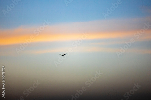 vuelo y atardecer