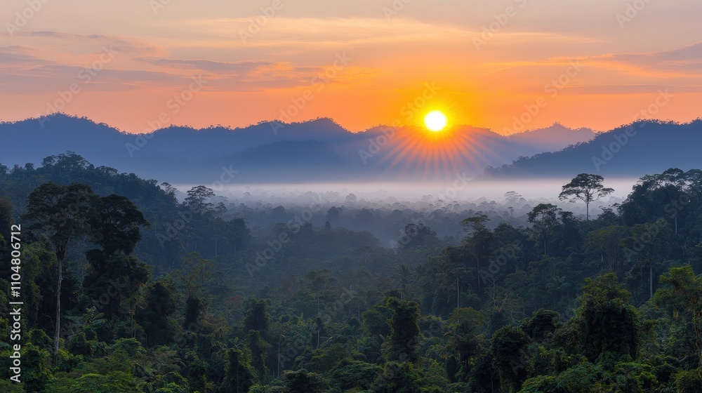 Obraz premium Sunrise Rainforest Panorama Misty Mountains Tropical Forest Golden Hour