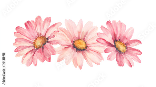 gerbera daisy themed frame or border for photos and text. watercolor illustration, Perfect for nursery art, simple clipart, single object, white color background. for invitation, wedding, printing.