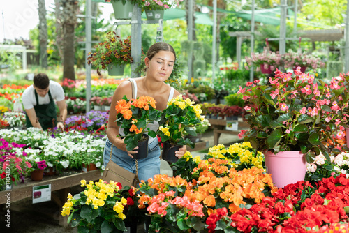 Smiling young female shopper in casual white tank top and jeans choosing vibrant begonia x hiemalis in pots from array of colorful ornamental flowers at local garden center.. photo