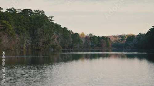 Footage of Lake Rim Park in Fayetteville, North Carolina on a crisp, autumn, November morning, perfect for serene videos, NC Wildlife Resources Commission