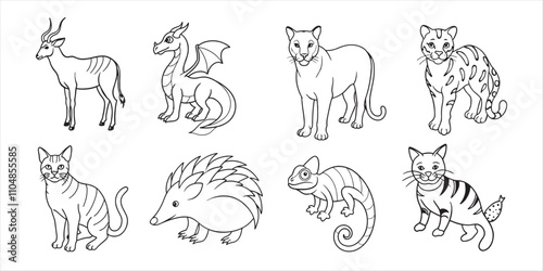 Set of hand-drawn line art illustrations of jungle animals & plants