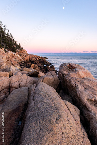 pastel colors sunset sky in maine coast with pine trees and atlantic ocean rocky coast lines north east united states 