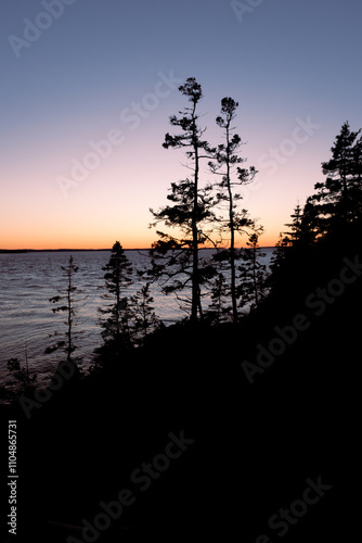 pastel colors, sunset sky, maine, coastal, pine, trees, atlantic ocean, east coast