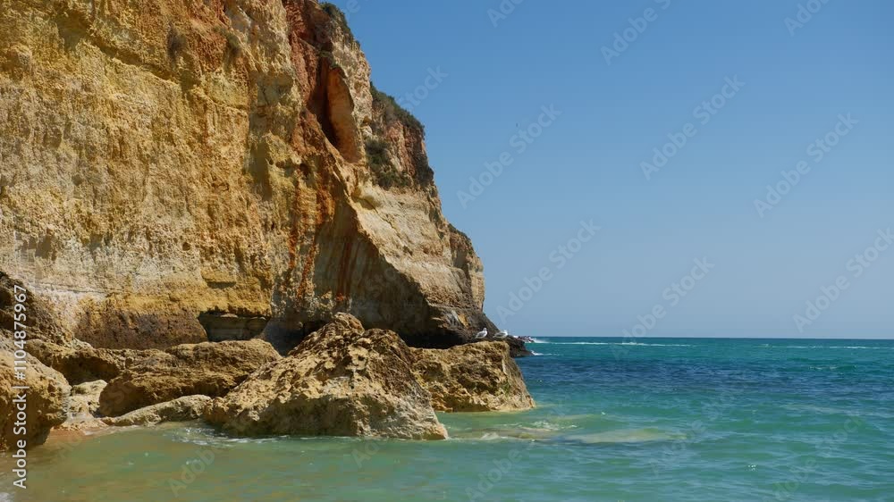 Wide shot of seagulls resting on rocks with the ocean in the background at Carvoeiro Beach, Algarve, Portugal Wide shot of seagulls resting on rocks with the ocean in the background at Carvoeiro Beach, Algarve, Portugal