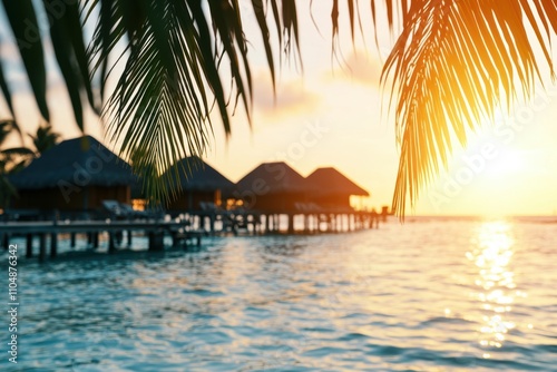 A palm tree is in front of a beach with a sunset in the background