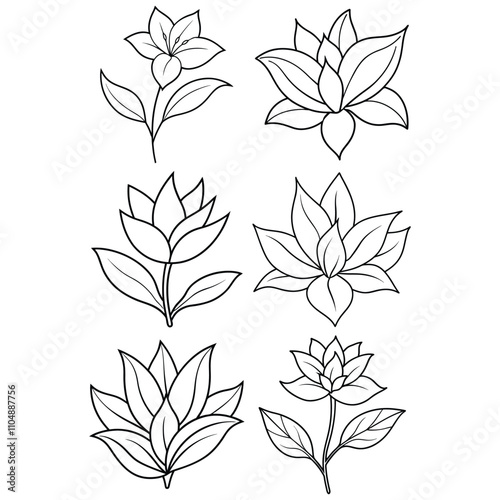 Botanical Flower Line Art Illustrations Elegant Floral Design