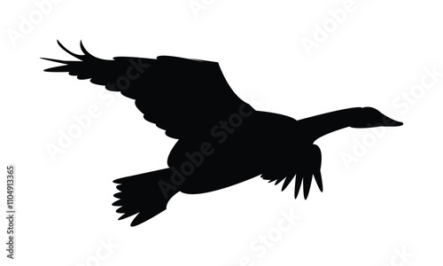 Flying Goose Bird Silhouette Design  And Vector Illustration. 
