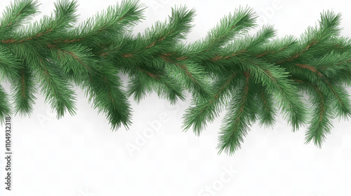 Pine tree branch christmas garland set realistic vector illustration. Fir twigs with green needles isolated on transparent background. Winter holiday evergreen decoration, spruce or cedar elements