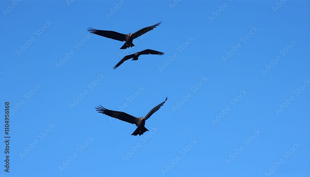 A magnificent depiction of flying birds soaring high in the sky A magnificent depiction of flying birds soaring high in the sky