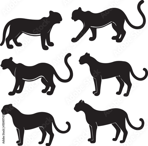 set of lion vector photo