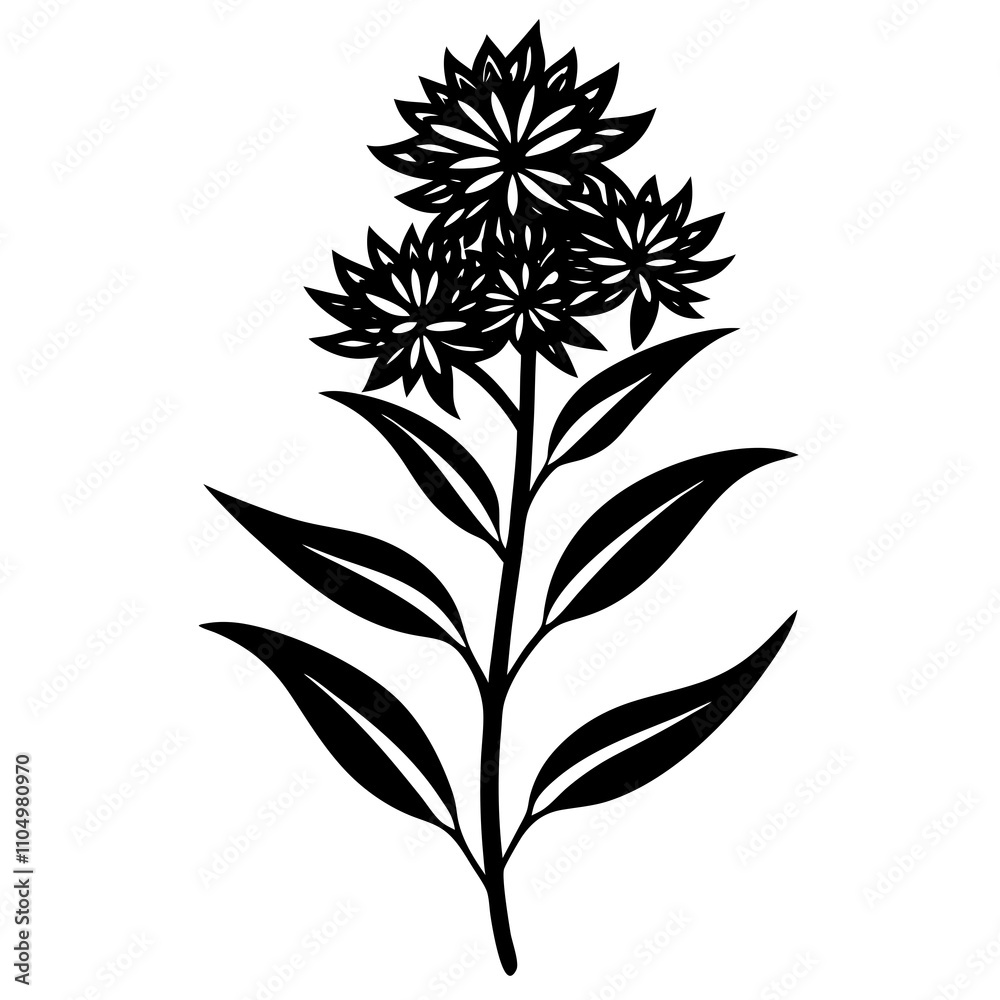 black and white goldenrod flower black and white goldenrod flower