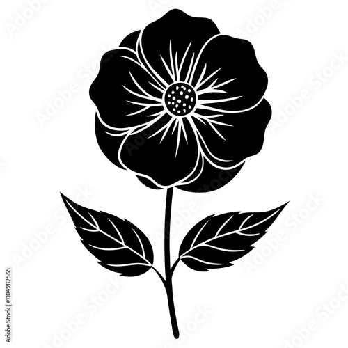 black and white flower