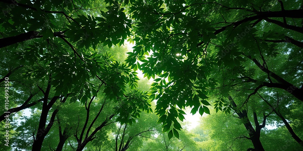 Fototapeta premium A cluster of green leLush green forest canopy with sunlight filtering through leaves, green plants, leafy greens, outdoors